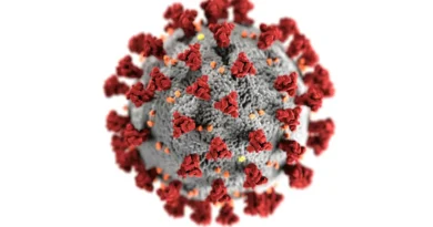 chandipura virus